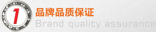 圓(yuán)錐滾子軸承(chéng),圓柱滾子軸(zhóu)承,深溝球軸(zhóu)承,卡車輪毂(gu)單元